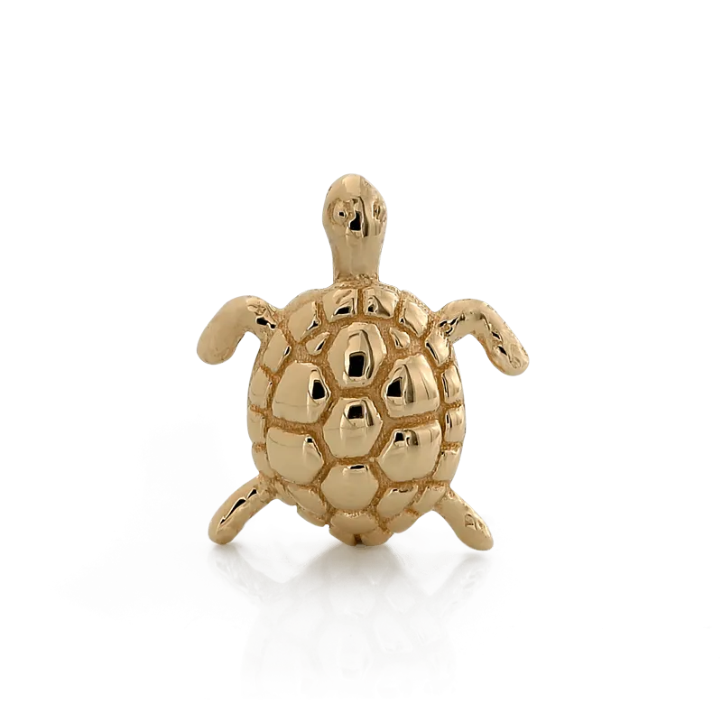 Swimming Turtle