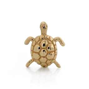 Swimming Turtle