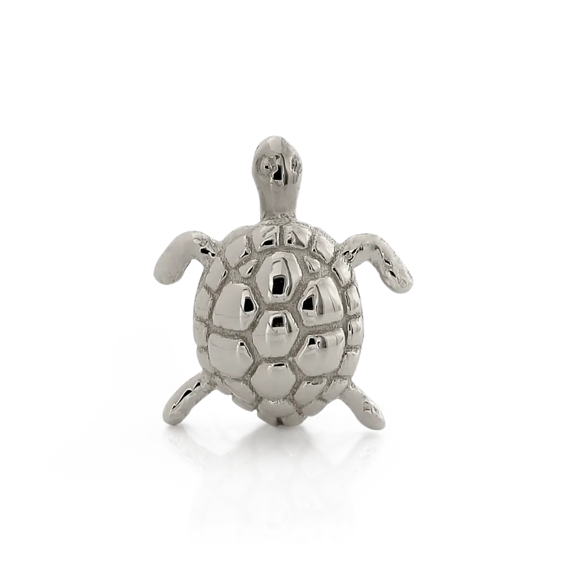 Swimming Turtle