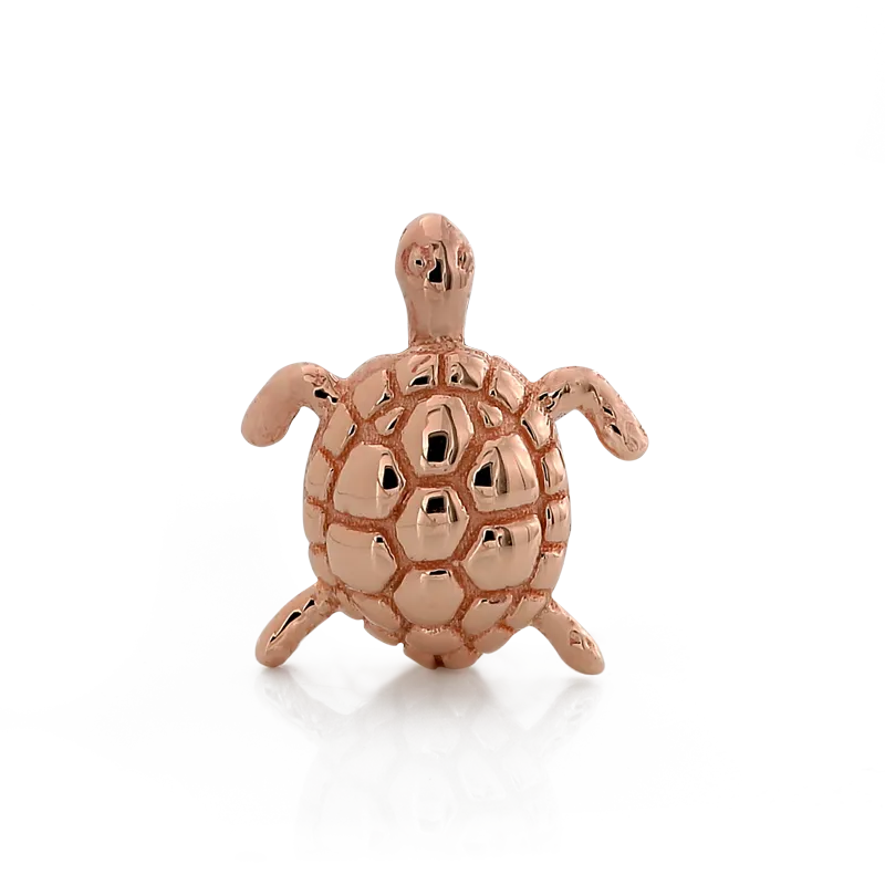Swimming Turtle